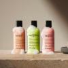 philosophy scent-sational hydrating bath & shower gels – efficiently cleanses, soothes & comforts dry skin – vegan & cruelty free formula(Congrats – 3 Piece Set)