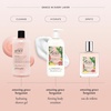 philosophy amazing grace firming body emulsion – luxury scented body lotion – formulated with shea butter for fast absorbing hydration – skin feels soft and smooth – suitable for all skin types(amazing grace Bergamot 16 fl oz)