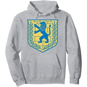 Lion of Judah Gift Israel Jewish Jerusalem Sign Jew Hebrew Pullover Hoodie(Heather Grey)