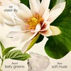 philosophy pure grace cream-to-water body lotion